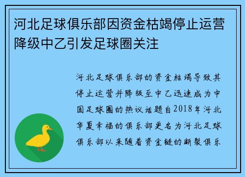 河北足球俱乐部因资金枯竭停止运营降级中乙引发足球圈关注